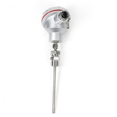 PT100 temperature sensor a PT100 temperature sensor a